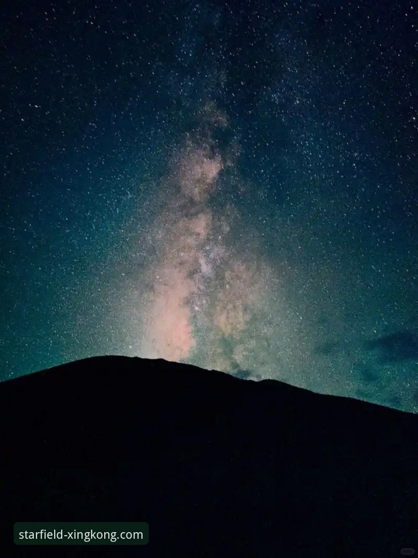 星空官方网站手机版 vs 传统网页端：移动体验的全面革新