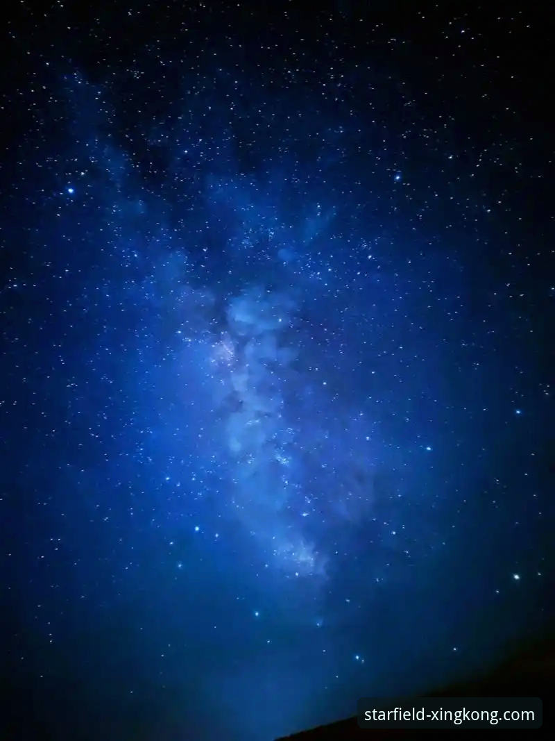 <h2>星空官方网站手机版iOS版见证历史：宁忠岩破纪录夺金，中国速度滑冰迎来新纪元</h2>