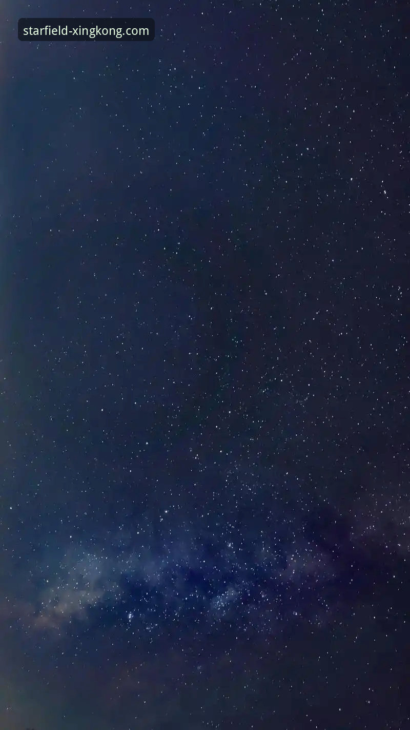 星空官方网站手机版 vs 传统网页端：移动体验的全面革新